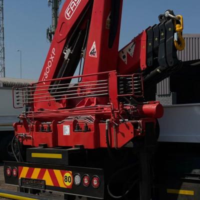 Fassi F300